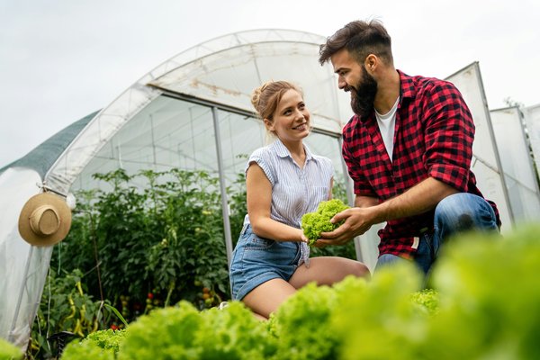 Comment organiser une visite des terres agricoles biologiques en Nouvelle-Zélande ?